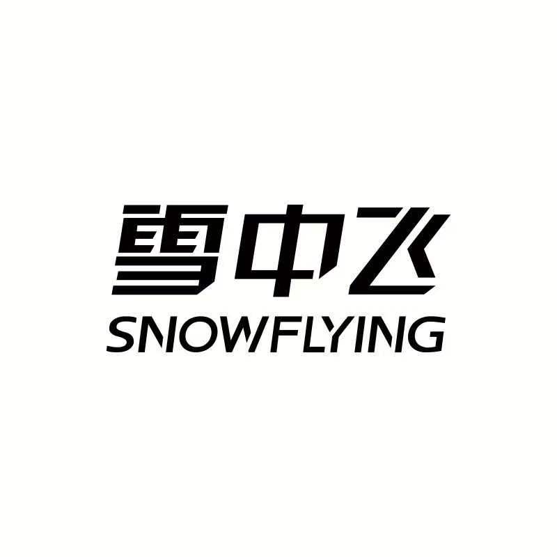雪中(zhōng)飛